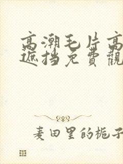 高潮毛片高清无遮挡免费观看封面