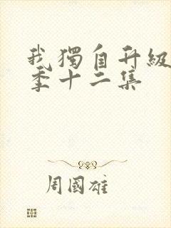 我独自升级第二季十二集