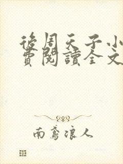 后周天子小说免费阅读全文最新章节