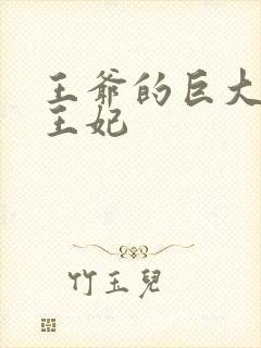 王爷的巨大进入王妃封面