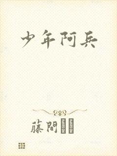 少年阿兵封面