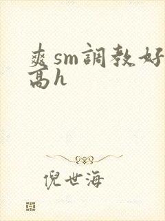 爽sm调教好舒高h