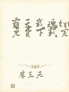 霸天武魂txt免费下载完本