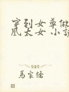 穿到女尊做废人凰太女 小说