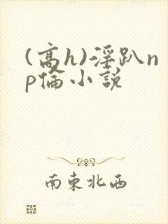 (高h)淫趴np伦小说