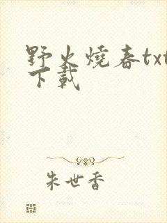 野火烧春txt下载