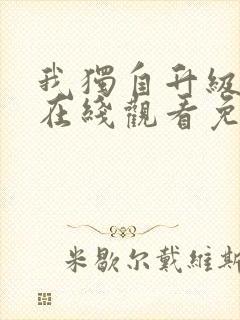 我独自升级动漫在线观看免费观看第16集