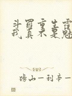 斗罗重生霍雨浩我真不是魅魔笔趣阁免费