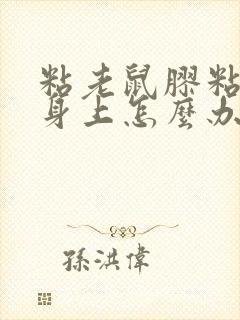 粘老鼠胶粘到猫身上怎么办