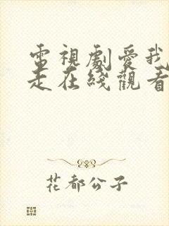 电视剧爱我你别走在线观看全集免费高清