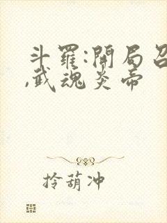 斗罗:开局召唤,武魂炎帝封面