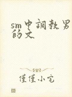 sm中调教男m的文