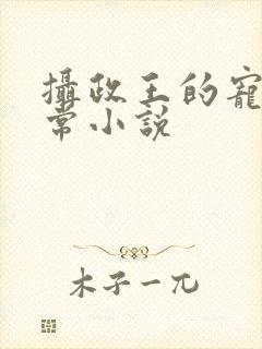 摄政王的宠妻日常小说