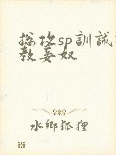 总攻sp训诫调教妾奴