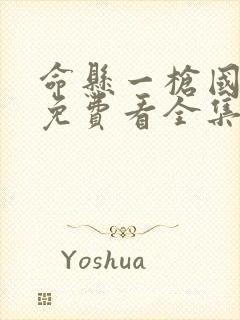 命悬一枪国语版免费看全集