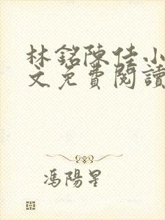 林铭陈佳小说全文免费阅读最新章节