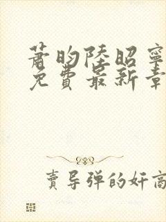 萧昀陆昭宁全文免费最新章节阅读