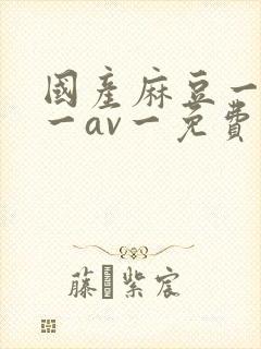 国产麻豆一精品一av一免费