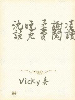 沈晚柔谢凌安小说免费阅读最新章节