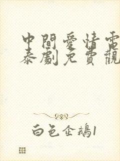 中间爱情电视剧泰剧免费观看全集