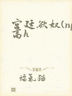 宫廷欲奴(np高h