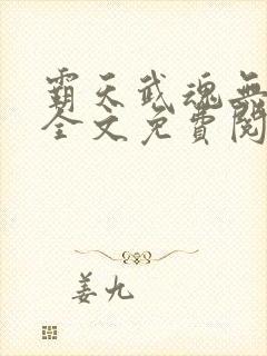 霸天武魂无弹窗全文免费阅读封面