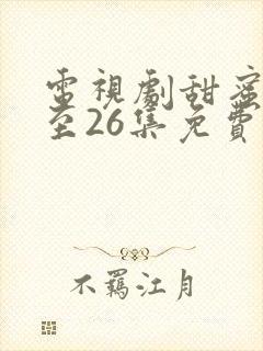 电视剧甜蜜蜜1至26集免费观看