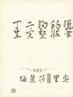 丁二狗的猎艳人生完整版笔趣阁