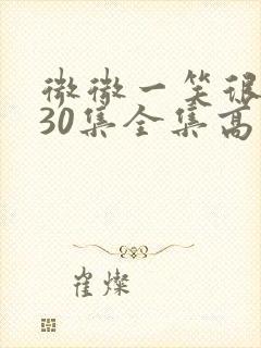 微微一笑很倾城30集全集高清