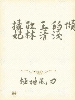 摄政王的倾城宠妃林清浅