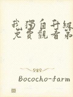 我独自升级动漫免费观看第一季