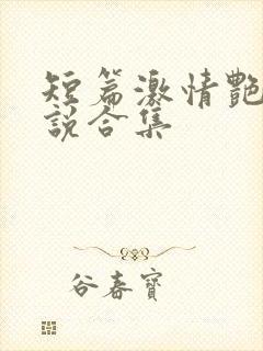 短篇激情艳情小说合集封面