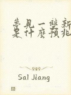 梦见一双新鞋子是什么预兆