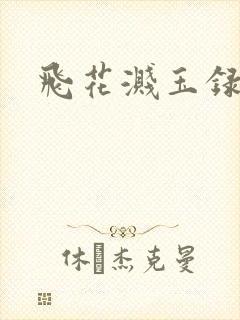 飞花溅玉录