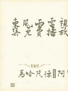 东风雨电视剧全集免费播放封面