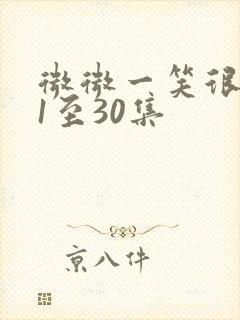 微微一笑很倾城1至30集