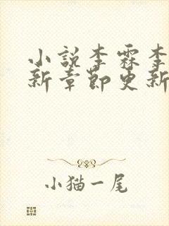 小说李霖李澜最新章节更新情况封面