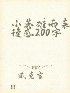 小英雄雨来的读后感200字