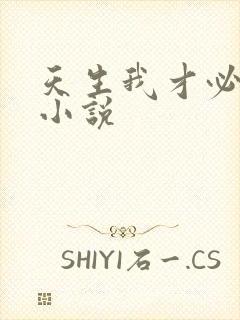 天生我才必有用小说