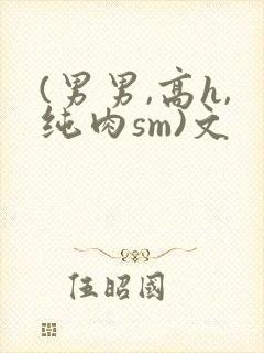 (男男,高h,纯肉sm)文