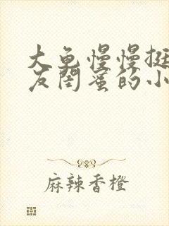 大龟慢慢挺进女友闺蜜的小说封面