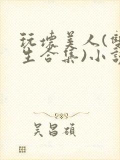 玩坏美人(双产生合集)小说