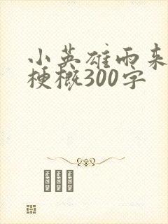 小英雄雨来全书梗概300字封面