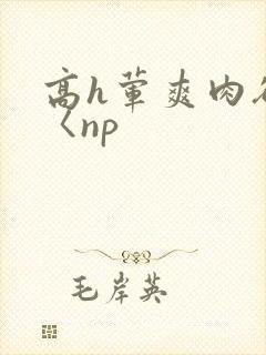 高h荤爽肉欲文〈np封面