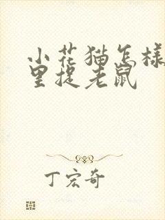 小花猫怎样在哪里捉老鼠