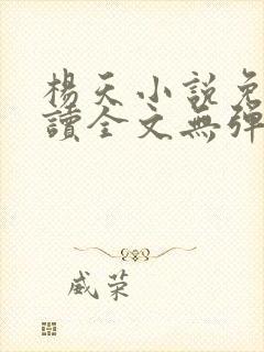 杨天小说免费阅读全文无弹窗