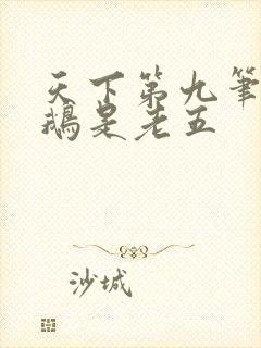 天下第九笔趣阁鹅是老五封面