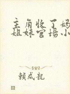 主角收了妈妈三姐妹官场小说封面