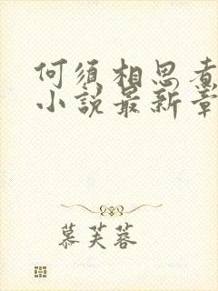 何须相思煮余年小说最新章节列