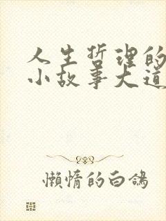 人生哲理的经典小故事大道理封面